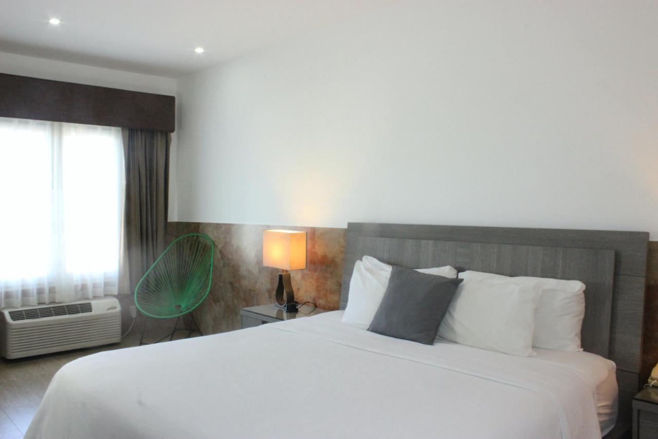 Beverly Hills: Hotel And Business Nuevo Cuscatlan Dış mekan fotoğraf